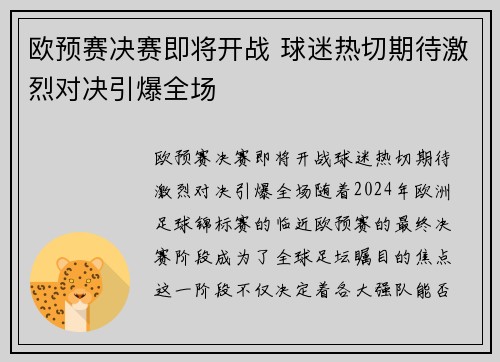 欧预赛决赛即将开战 球迷热切期待激烈对决引爆全场